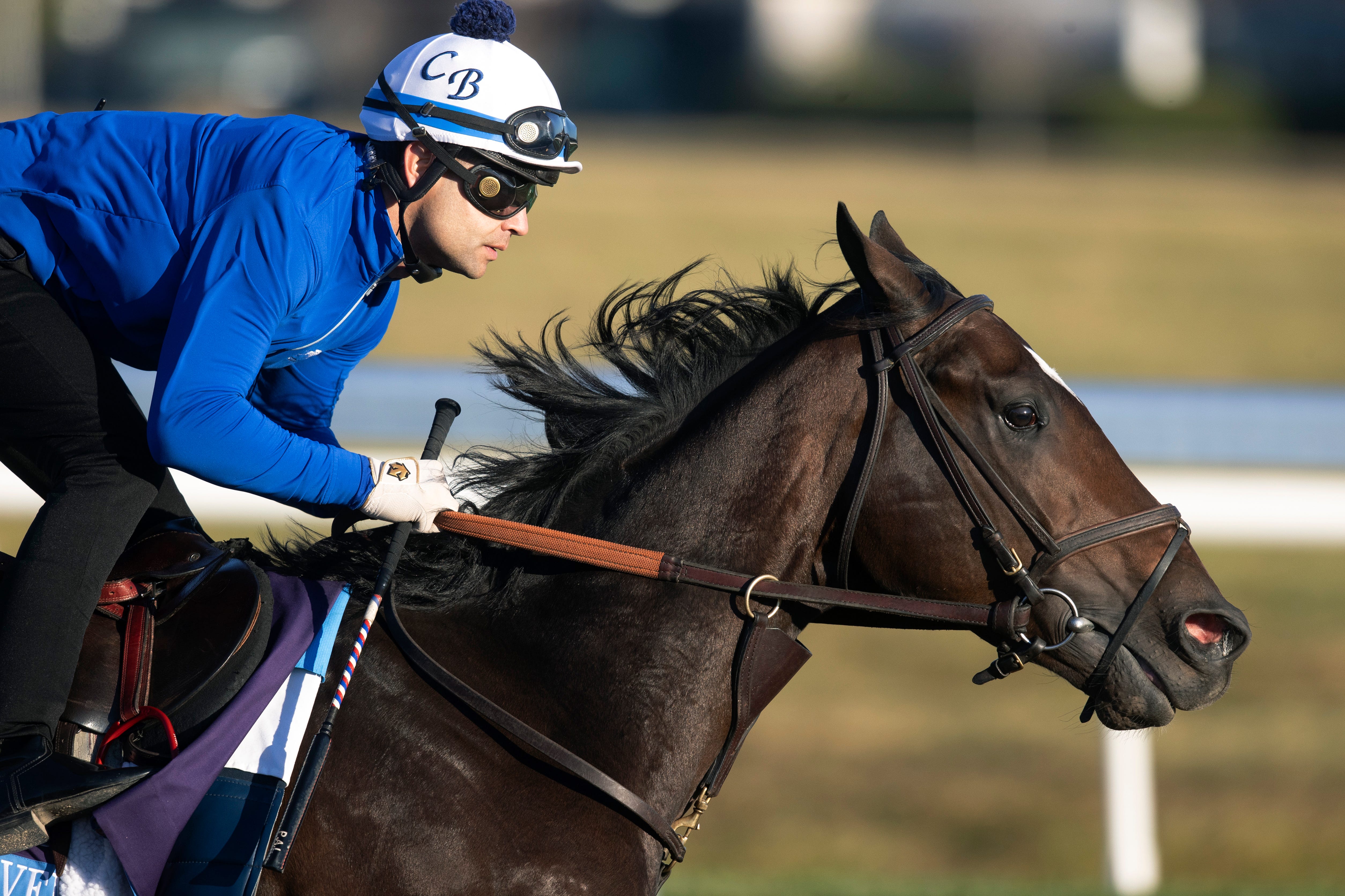 Brown starts readying Blazing Sevens for first Kentucky Derby prep